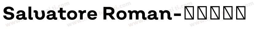 Salvatore Roman字体转换